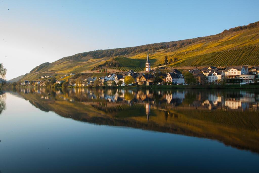 Das Haus In Spay An Der Mosel Mit Sauna Целль-ан-дер-Мозель Экстерьер фото