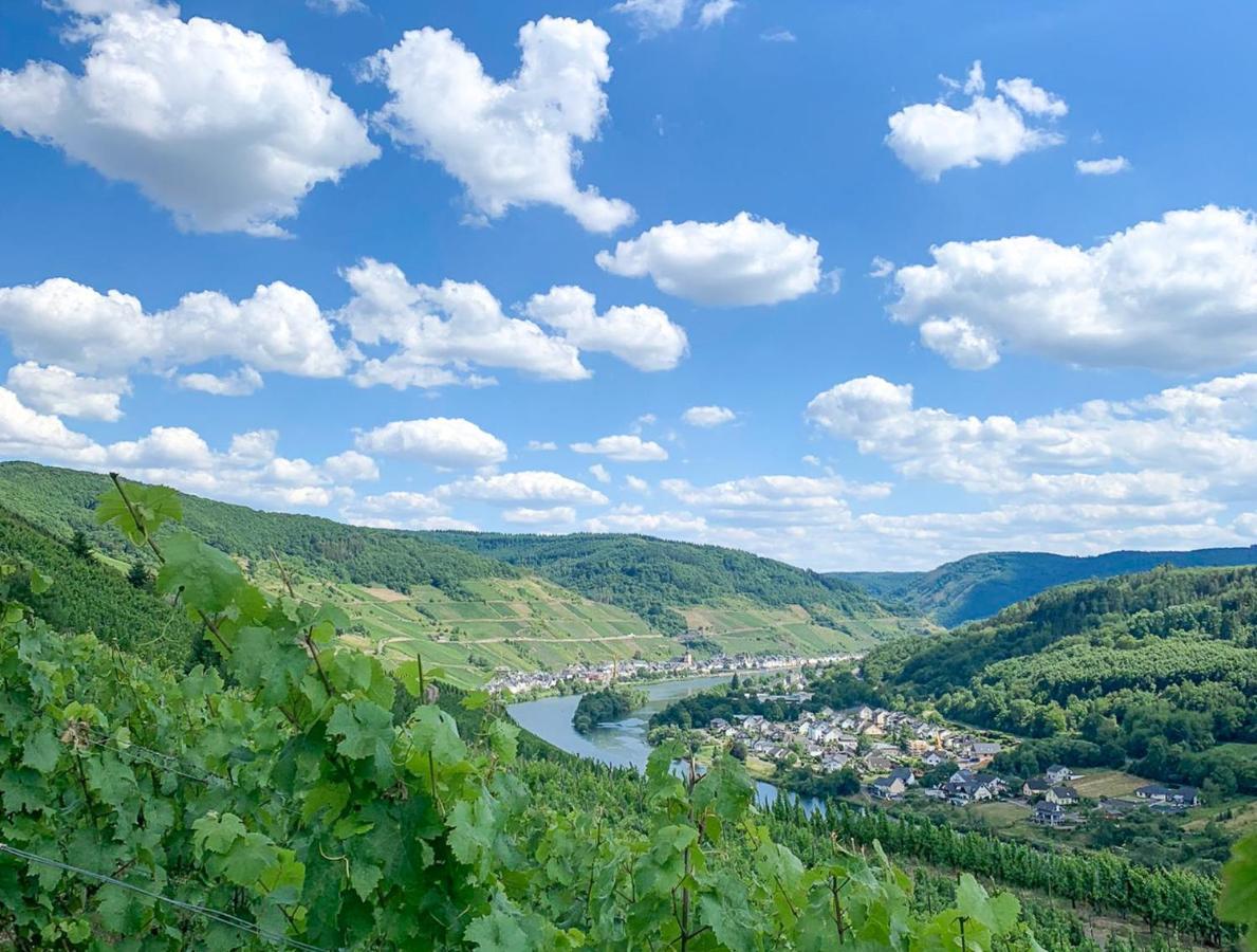 Das Haus In Spay An Der Mosel Mit Sauna Целль-ан-дер-Мозель Экстерьер фото